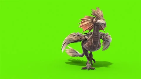 Green Screen Archaeopteryx Walks Front Dinoasaurs 3D Rendering Animation CGI Stock Footage 342842193