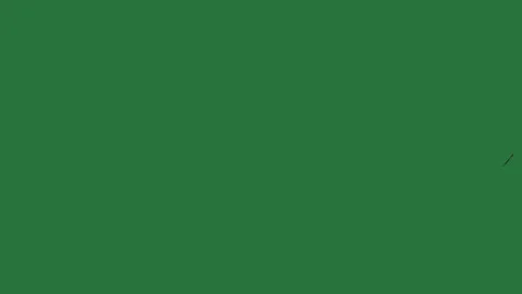 A green screen with an arrow pointing to the left and drawing of plant Видео 335065594