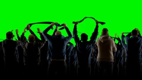 GREEN SCREEN back view group of people fans celebrating during a sport event Stock Footage 121220474