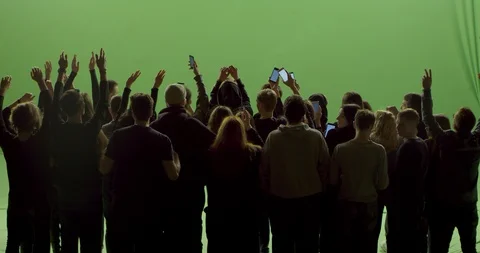 GREEN SCREEN Back view of huge crowd dancing and cheering at a concert or show Stock Footage 125635421