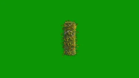 Green screen background anbird number one 1 animated chromakey background Vídeos de archivo 314067157