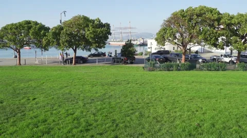 Green Screen Background - Aquatic Park, San Francisco Video stock 169763622