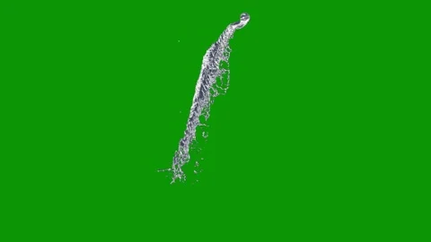 Green screen background bird flying the sky anfish water splash map new zealand Stock Footage 314066814
