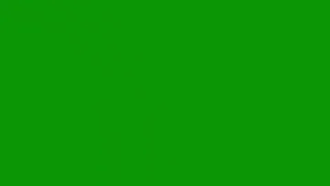 Green screen background cat sitting top letter c gray triangle curved corner Stock Footage 314066839