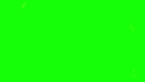 Green screen background for chroma key 库存影片 338175727