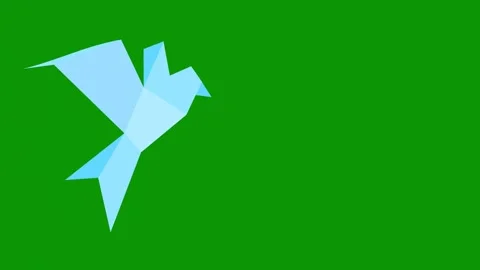 Green screen background circle blue origas bird origaal paper animated chromakey Stock Footage 314067099