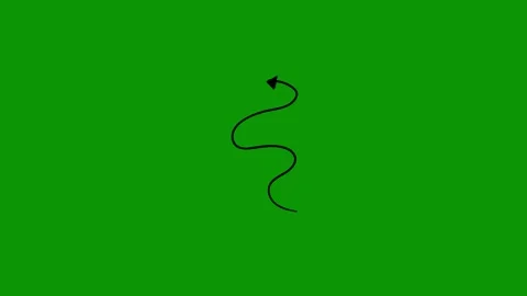 Green screen background drawing snake animated chromakey background motion Stock Footage 314067081