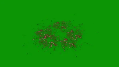 Green screen background fireworks bunch flowers tree the middle black animated Stock Footage 314067461