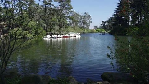 Green Screen Background - Golden Gate Park Pond Boats Video stock 169763616