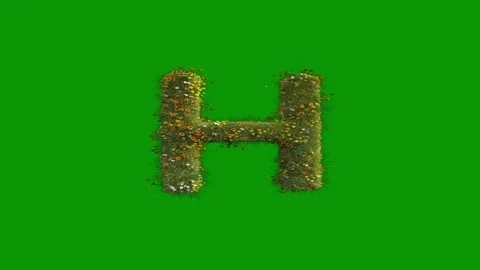 Green screen background the letter h made out leaves flowers plants up animated 스톡 동영상 314067026