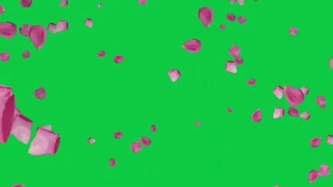 Green screen background with swirling light petals creating. Stock Footage 306771350