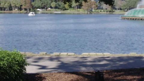 Green Screen Background Video 50mm Blurred Shot of City Park 1 Stock Footage 260734417