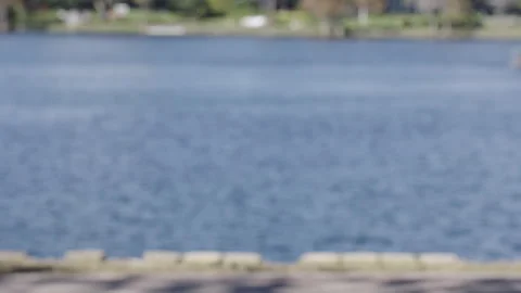 Green Screen Background Video 75mm Blurred Shot of City Park 1 Stock Footage 260734446