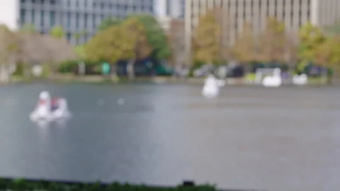 Green Screen Background Video 75mm Blurred shot of Lake in City Park 3 Stock Footage 260736878