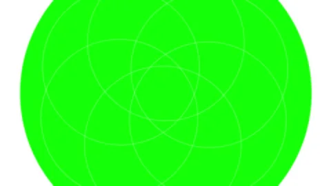 Green screen background with white circles Vídeo Stock 338174844