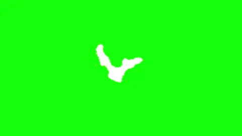 Green Screen Bird Silhouette Flying Seamlessly Across Black Background with.. Stock Footage 340913838