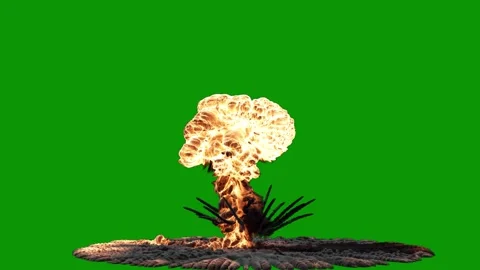 Green screen bird sitting top owl standing piece wood mushroom burning tree Video stock 314068080
