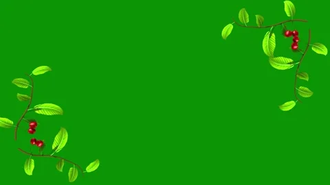 Green screen black outline leaves red berries animated chromakey scene Video stock 314068461
