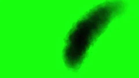 Green Screen Black Smoke effects stock video footage Stock Footage 311426948