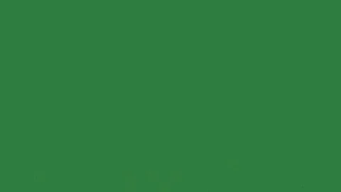 Green screen black splash of water on screen an image tree green screen design 스톡 동영상 336051106