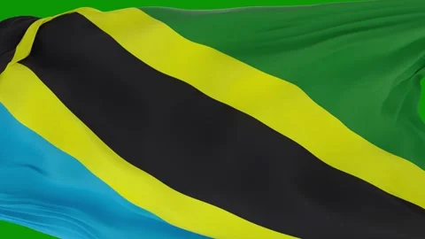 Green screen border black yellow design flag jamaic waving in wind close up Stock Footage 314068045