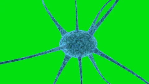Green Screen Brain Cells Or Neurons Stock Footage 136036537