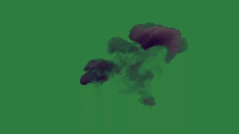 Green screen bug on fire smoke coming out of it from two bombs black cloud Vídeo Stock 335696363