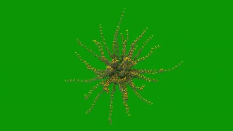 Green screen bunch flowers image flower animated chromakey style emotion Stock Footage 314067946