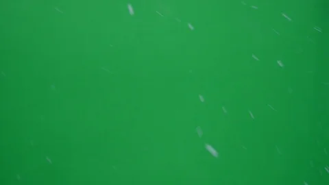 Green screen capture of real snow flakes falling outside Stock Footage 98123243