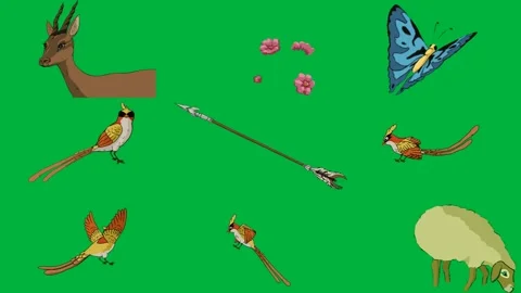 Green screen cartoon bear it butterfly flying over blue background bird. Stock Footage 310563378