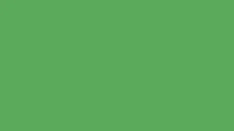 Green Screen Chroma Key Background Element for Video Transition Overlay Effec 库存影片 340124460