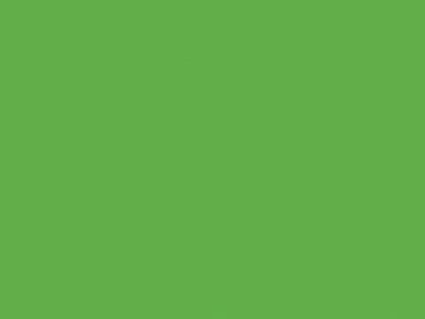 Green screen chroma key background texture for video production and creativ.. Ilustración de archivo