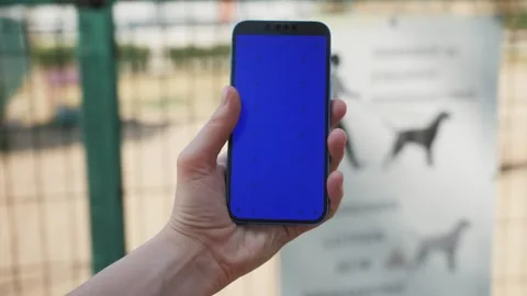 Green Screen chroma key Handheld Smartphone. Travel with phone concept Stock Footage 282530853