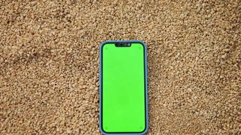 Green Screen chroma key on Smartphone phone on sand beach in Barcelona city view Stock Footage 247137867