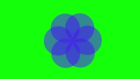 Green Screen Circle Blue Video stock 343928543