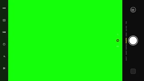 Green Screen Circle White Video stock 342785778