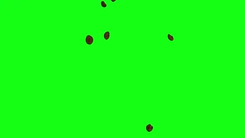 Green screen cofe beans Stock Footage 233054362