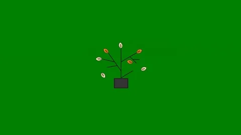 Green screen coins coming out tree plant growing falling small animated Stockbeeldmateriaal 314068306