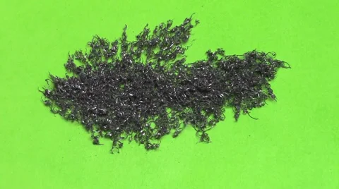 Green Screen create arrow Stock Footage 39653562