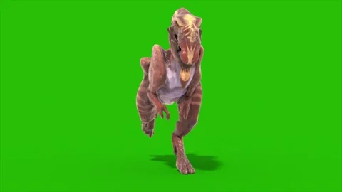 Green Screen Dinosaur Dilophoraptor Runcycle Loop Front 3D Rendering Jurassi Stock Footage 340042029