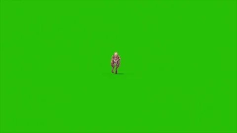 Green Screen Dinosaur Dilophoraptor Runs Front 3D Rendering Jurassic Animati Stock Footage 340042030