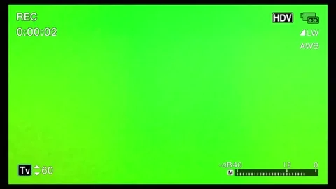 Green screen display with digital rec animation. camcoder rec on green screen. 库存影片 239313685