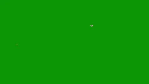 Green screen dot small object in middle bird flying air heart animated Stock Footage 314068425