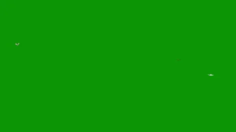 Green screen dots red dot small animated chromakey expression backgrounds Stock Footage 314068422