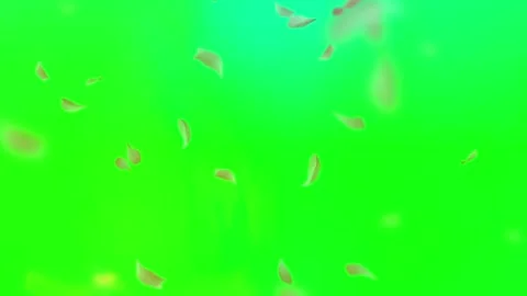 Green screen with falling pink petals abstract background Stock-Footage 337465682