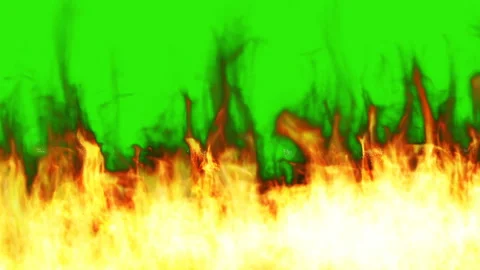 Green Screen Fire Stock Footage 195943009