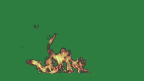 A green screen with fire on it and is burning burns animated chromakey Vídeo Stock 335122220