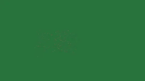 Green screen firework on screen green screen design layers motion scene Stock-Footage 336051001