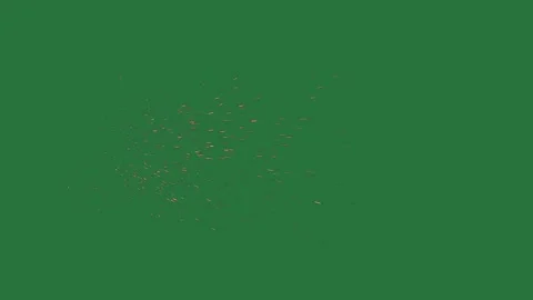 Green screen firework on screen it lot of sparks green screen design motion Stock-Footage 336051024
