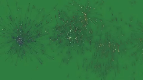 A green screen with fireworks on it and bunch of flowers background lots Stock-Footage 335122279